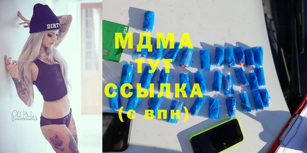 индика Новокубанск