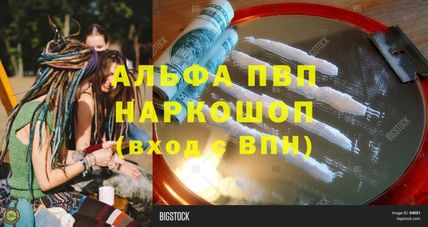 индика Новокубанск