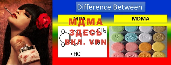 индика Новокубанск