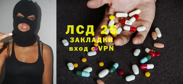 прущие грибы Новодвинск