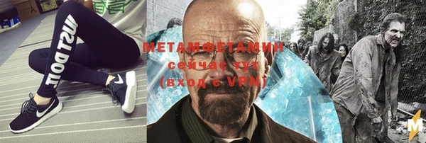 прущие грибы Новодвинск