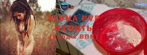 индика Новокубанск