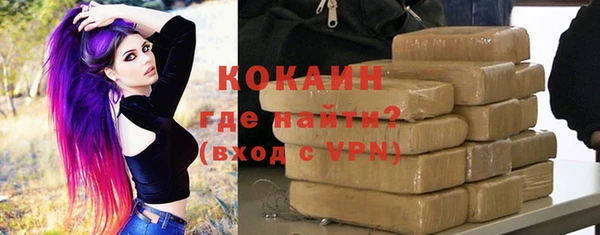 прущие грибы Новодвинск